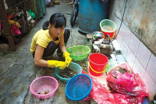 Thậm thịch phố giã cua đồng giữa Thủ đô - 3