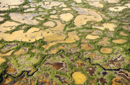 Ngỡ ngàng vẻ đẹp Vườn Quốc gia ở Canada - 8