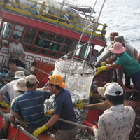 Tin tức trong ngày - Bão nhấn chìm tàu, 17 ngư dân dạt trên biển