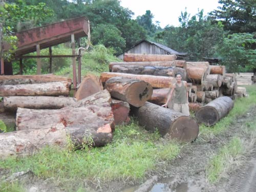 Quảng Nam: Bỏ, tạm dừng 20 dự án thủy điện - 3