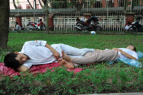 Những giấc ngủ trưa vội vã mùa thi - 11