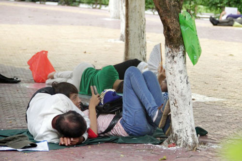 Những giấc ngủ trưa vội vã mùa thi - 2