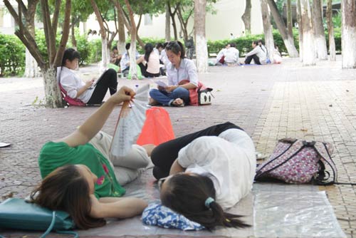 Những giấc ngủ trưa vội vã mùa thi - 4