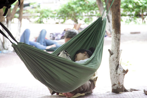 Những giấc ngủ trưa vội vã mùa thi - 5