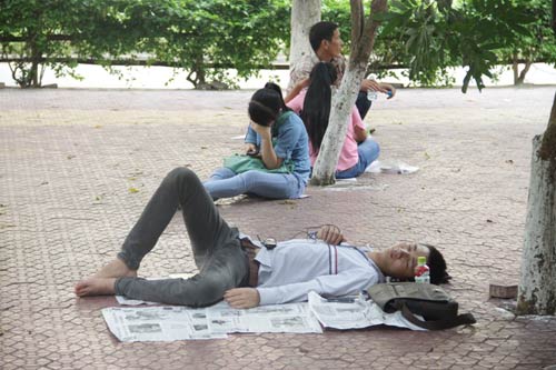 Những giấc ngủ trưa vội vã mùa thi - 6