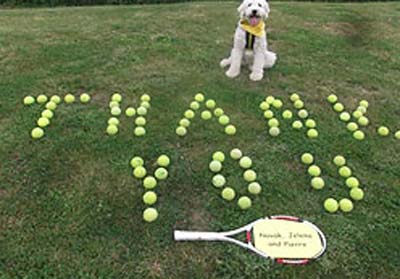 Djokovic tìm nhà cho chó (Nhật ký Wimbledon ngày 10) - 1