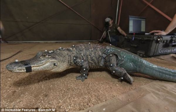 Cá sấu đầu tiên được gắn đuôi nghìn đô - 8