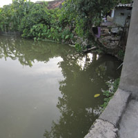 Tin tức trong ngày - Bé trai 18 tháng tuổi rơi xuống ao tử vong