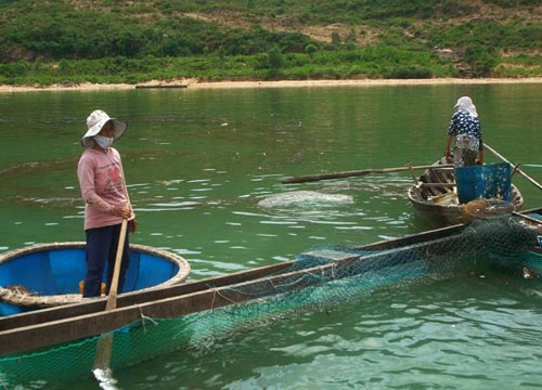 Dầu tràn biển, ngư dân khóc ròng - 3