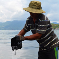 Tin tức trong ngày - Dầu tràn biển, ngư dân khóc ròng