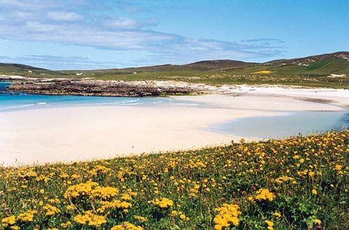 Sir Alex “bỏ rơi” Murray để đi du hí - 5