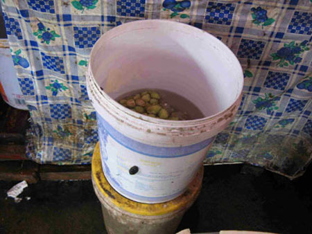 Những món bẩn bán chạy trong ngày hè - 2