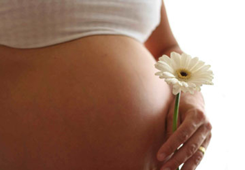 Mang thai hộ không phải là đẻ thuê - 1
