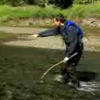 Thể thao - Kỹ năng sống: Bắt cá bằng tay không