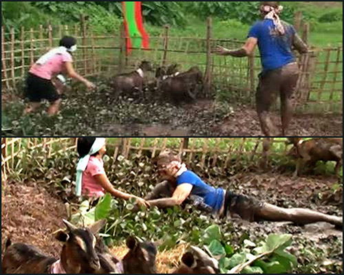 Ảnh độc show truyền hình mạo hiểm nhất VN - 4