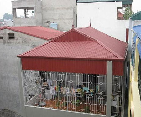 Chiêu trò đột nhập của giới đạo chích - 1