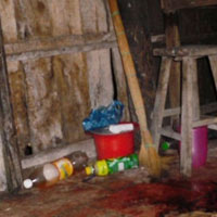 Pháp luật - Cắt cổ bạn nhậu rồi nhờ người điện báo CA