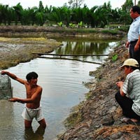 Tài chính - Bất động sản - Vỡ trận bảo hiểm thủy sản