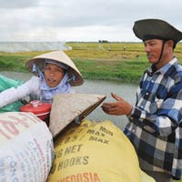 Thị trường - Tiêu dùng - “Nên hỗ trợ trực tiếp giá nông sản”