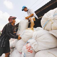 Thị trường - Tiêu dùng - Thương hiệu lúa gạo - phải một thập kỷ nữa?
