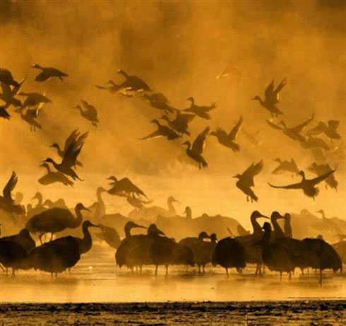 Cảnh thiên nhiên cực đẹp ở Mỹ - 4