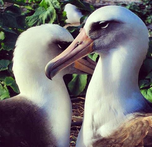 Cảnh thiên nhiên cực đẹp ở Mỹ - 11