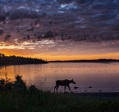 Cảnh thiên nhiên cực đẹp ở Mỹ - 5