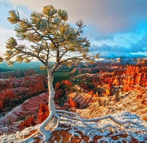 Cảnh thiên nhiên cực đẹp ở Mỹ - 9