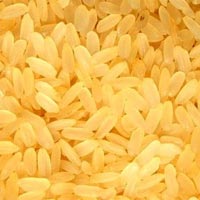 Thị trường - Tiêu dùng - Sắp có nhà máy chế biến gạo đồ xuất khẩu