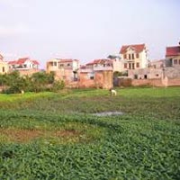 Tài chính - Bất động sản - Kiến nghị sớm sửa Luật Đất đai