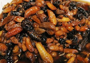 “Huyền thoại” thực phẩm lạ xứ Phù tang - 9