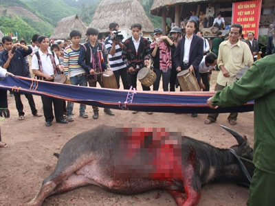 Huyền thoại mùa săn máu - 2