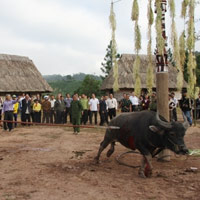 Tin tức trong ngày - Huyền thoại mùa săn máu