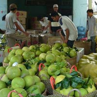 Thị trường - Tiêu dùng - Trị “bệnh” sản xuất manh mún