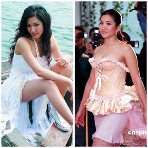 Top 20 tiểu thư đẹp nhất của sao Hoa ngữ - 12