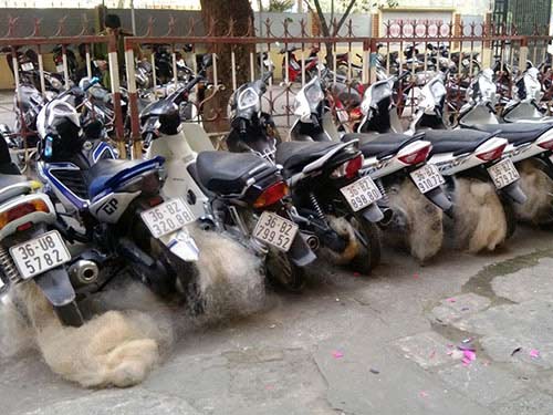 Độc chiêu trị quái xế - 2