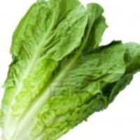 Sức khỏe đời sống - Xà lách, thần dược cho "chuyện ấy" của người Ai Cập