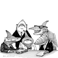 Đã yếu còn đòi ra gió - 1