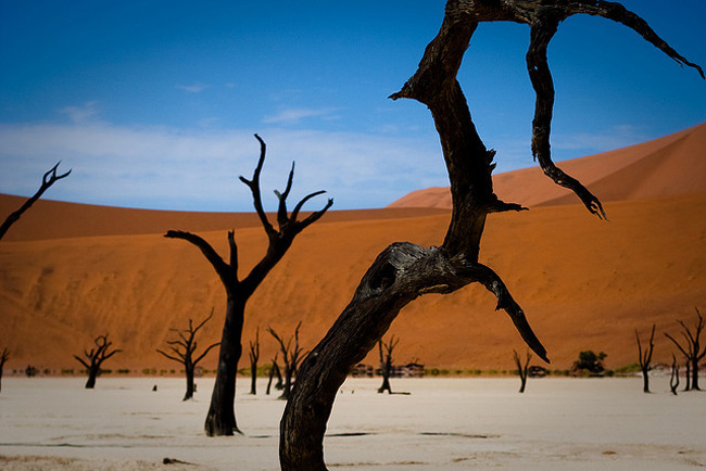 Sossusvlei như một chảo muối và đất sét bao quanh bởi những đụn cát cao màu đỏ, nằm ở phần phía nam của Sa mạc Namib, trong vườn quốc gia Namib-Naukluft của Namibia.