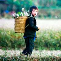 Du lịch - Sủng Là, một sớm tinh khôi