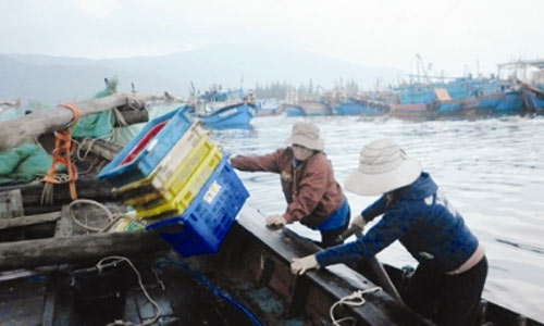 Những người đàn bà đạp sóng vươn khơi - 3