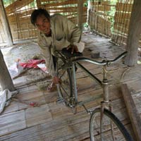 Tin tức trong ngày - Lụn bên dòng vàng trắng