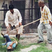 Tin tức trong ngày - Ấn Độ: Khỉ vườn thú "nổi điên" cắn khách nhí