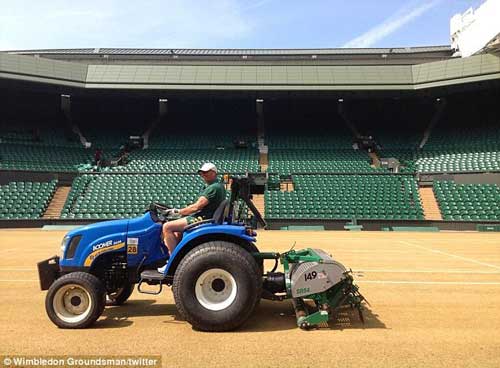 Wimbledon thay mặt cỏ sân trung tâm - 1