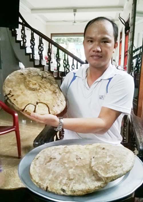 Nấm linh chi khủng 3,6kg ở Hải Dương - 2