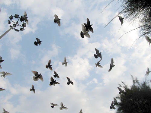 Văn hóa Đà Nẵng - cần một cú hích mạnh - 2