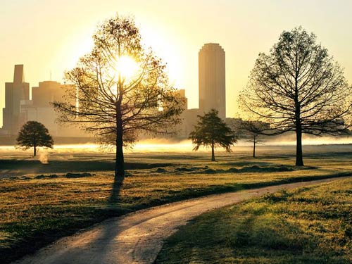 Đến Texas, mảnh đất của "cái gì cũng to" - 11