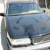 Vợ, người tình và bóng đá - 2