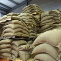 Thị trường - Tiêu dùng - Ngành cà phê đứng bên bờ vực phá sản