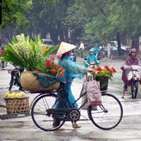 Tin tức trong ngày - Chưa có dấu hiệu chấm dứt mưa ở Bắc Bộ